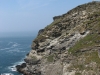 Tintagel-Coast_2
